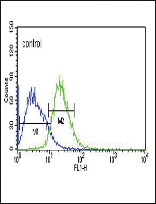 SLC25A1 / SEA Antibody (aa142-170)