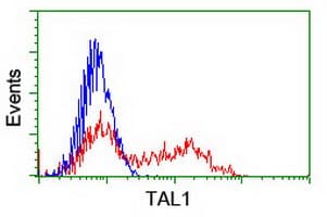 TAL1 Antibody (clone OTI5A5)
