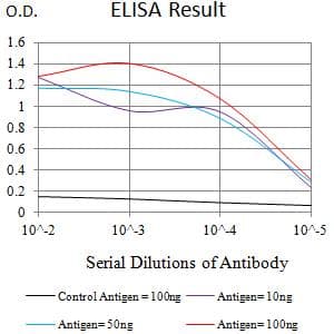 THBD / CD141 / Thrombomodulin Antibody (clone 2C6C3)