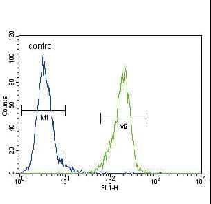 ENPP2 / Autotaxin Antibody (aa401-430)