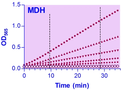 Malate Dehydrogenase (MDH) Assay Kit (Colorimetric)