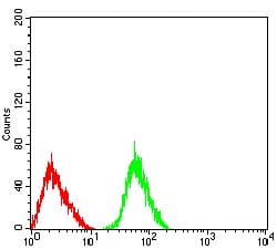 Monoclonal Mouse anti-Human CHRNA3 Antibody (clone 6D3A10, IHC, WB)