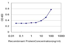RFC3 Antibody (clone 1C6)
