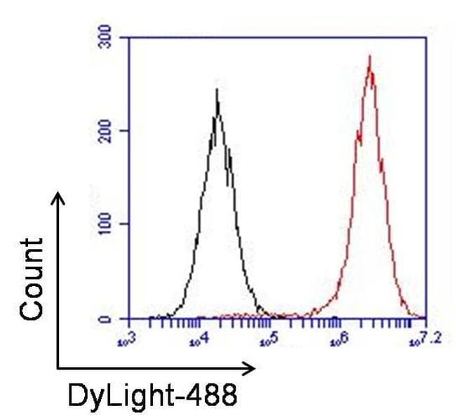 Polyclonal Goat Anti-Rabbit IgG Secondary Antibody (DY488, IHC, IF, WB)