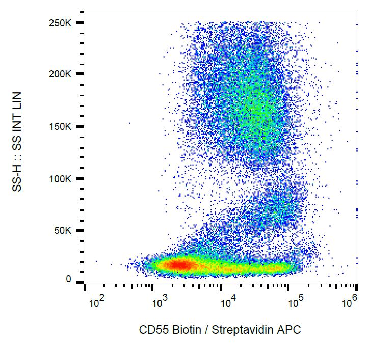 Monoclonal Mouse anti-Human CD55 Antibody (clone MEM-118, Biotin, IHC)