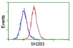 SH2B3 / LNK Antibody (clone OTI2C9)