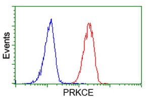 PRKCE / PKC-Epsilon Antibody (clone OTI3A12, Carrier-free)