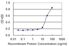 Monoclonal Mouse anti-Human SPAG4 Antibody (clone 3C8, WB)