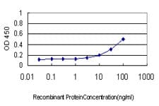 Monoclonal Mouse anti-Human AKT1 Antibody (clone 6D6, WB)