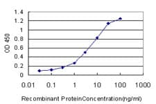 HSPA1L Antibody (clone 7H6)