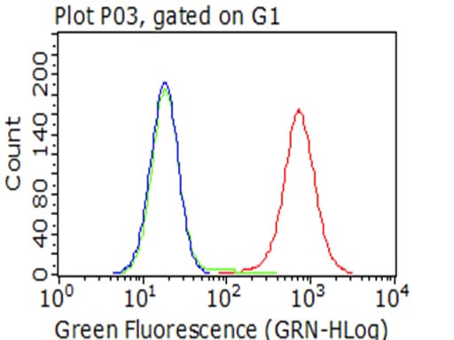 SIRPA / CD172a Antibody (clone OTI2G6)