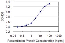PRKCD / PKC-Delta Antibody (clone 8H1)