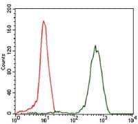 Monoclonal Mouse anti-Human EIF4B Antibody (clone 1F5, IHC, IF, WB)