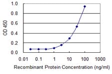 SLC3A1 / ATR1 Antibody (clone 3G3)