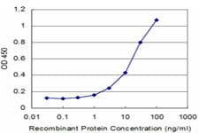 Monoclonal Mouse anti-Human TPO / Thyroid Peroxidase Antibody (clone 2A11, WB)