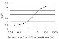 Monoclonal Mouse anti-Human CITED1 Antibody (clone 5H6, IHC, WB)