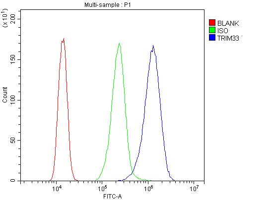 TRIM33 / TIF1-Gamma Antibody (aa1001-1127)