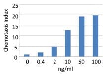 Mouse CCL11 / Eotaxin Protein (Recombinant)