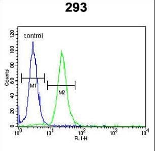 Polyclonal Rabbit anti-Human LMBR1L Antibody (aa462-489, IHC, WB)