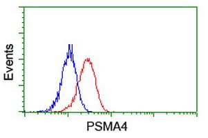 Monoclonal Mouse anti-Human PSMA4 Antibody (clone OTI2D12, WB)