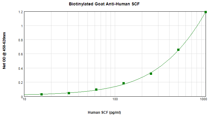 Polyclonal Goat anti-Human KITLG / SCF Antibody (Biotin, WB)