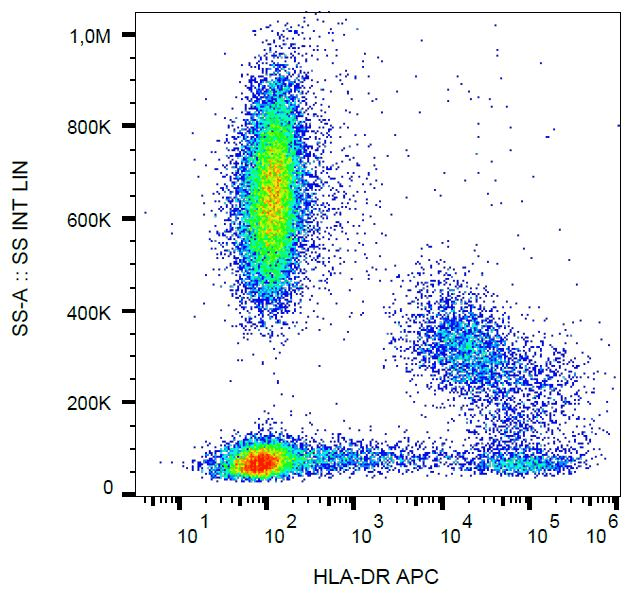 HLA-DR Antibody (clone MEM-12, APC)