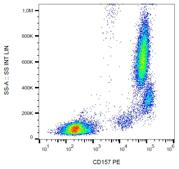 CD157 Antibody (clone SY11B5, PE)