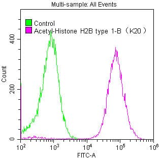 HIST1H2BB Antibody