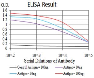 Monoclonal Mouse anti-Human IDH1 / IDH Antibody (clone 7G8A1, IHC, WB)