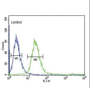 FCGR1B Antibody (aa248-276)