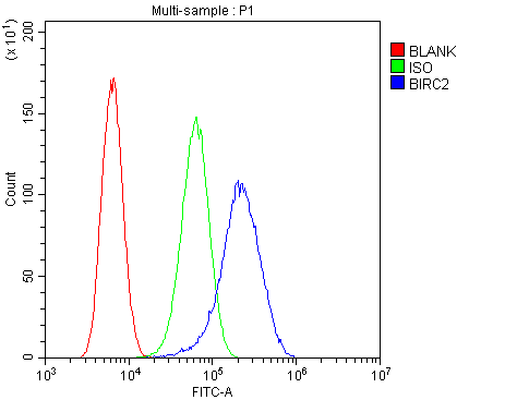 BIRC2 / cIAP1 Antibody