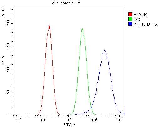 KRT18 / CK18 / Cytokeratin 18 Antibody