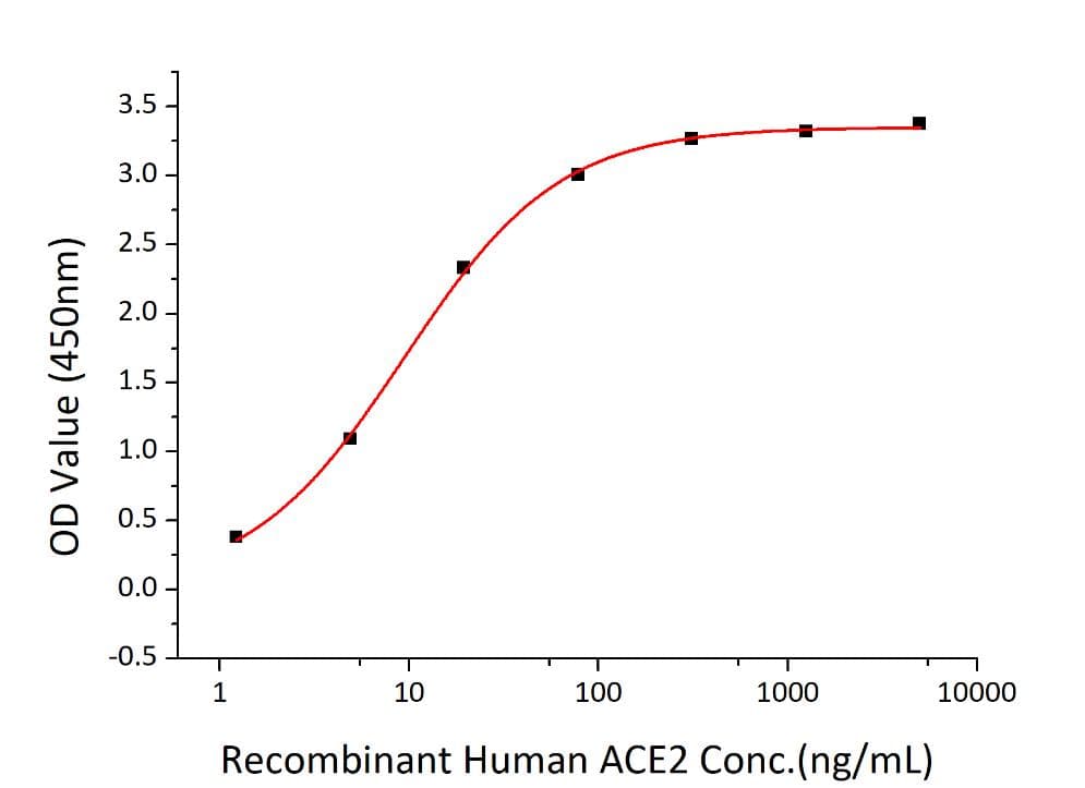 Coronavirus SARS-CoV-2 Spike Glycoprotein (Recombinant 6His, C-terminus)