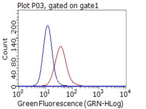 Monoclonal Mouse anti-Human CD80 Antibody (clone OTI8E9, aa35-242+Mouse, WB)