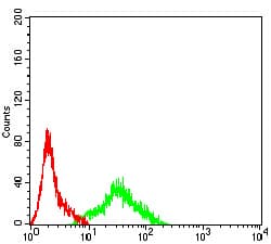 APEX1 / APE1 Antibody (clone 7A2G7)