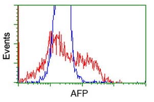 Alpha-Fetoprotein Antibody (clone OTI1D1)