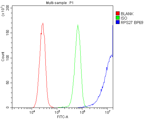 Polyclonal Rabbit anti-Human RPS27 / Ribosomal Protein S27 Antibody (IHC, WB)