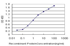 Monoclonal Mouse anti-Human PTF1A Antibody (clone 1A2, IF, WB)