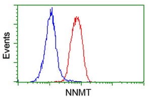 IHC-plus™ NNMT Antibody (clone 2A3)