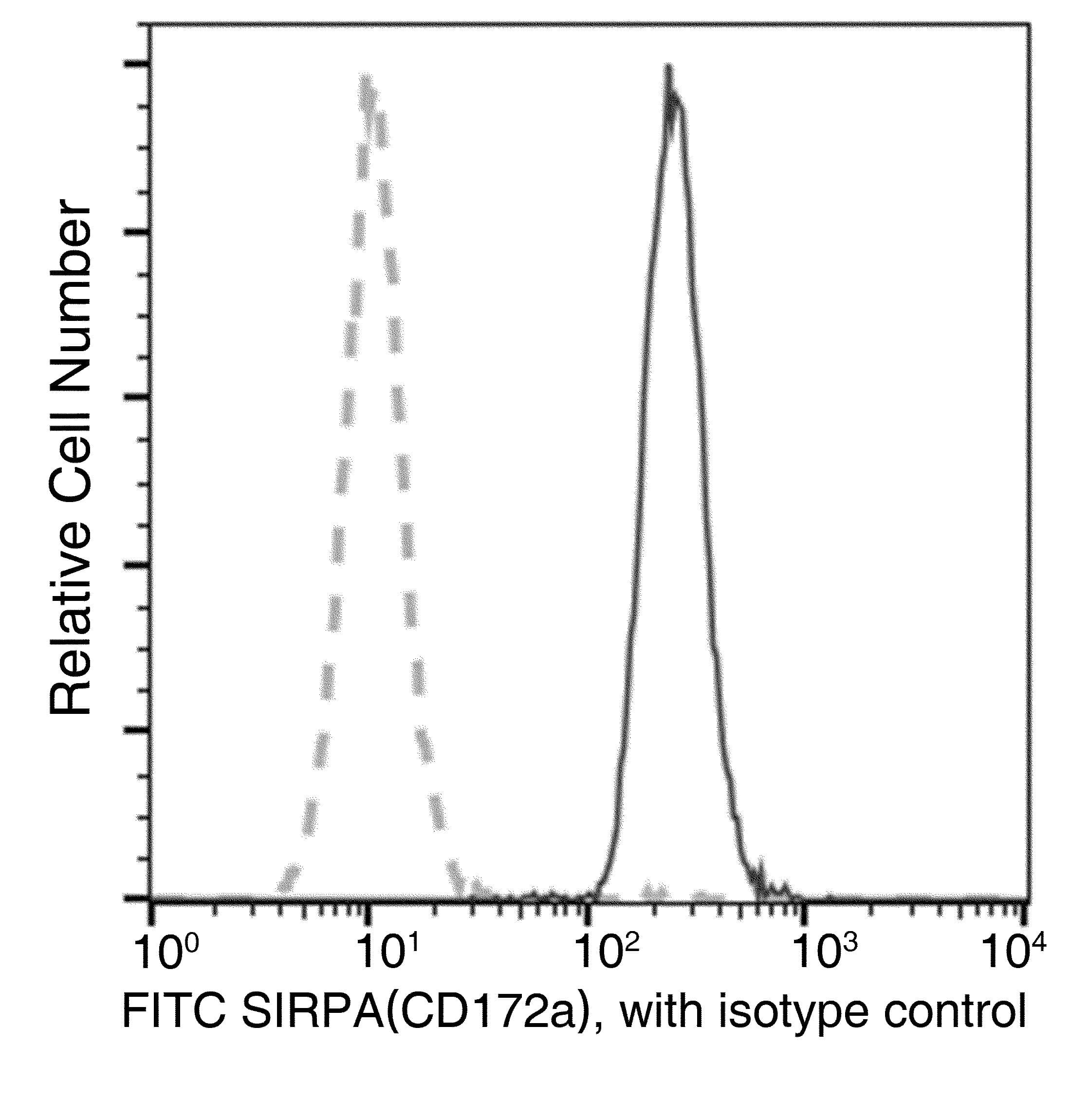SIRPA / CD172a Antibody (clone 103, FITC)
