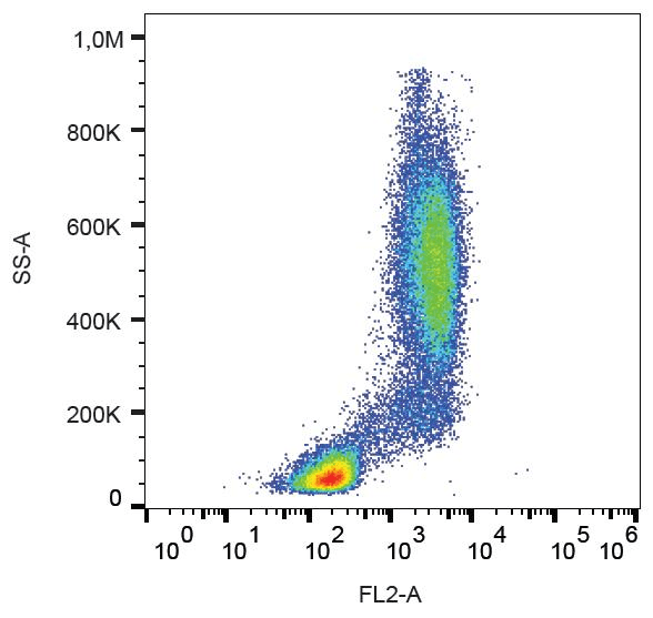 CSF3R / CD114 Antibody (clone LMM741, PE)