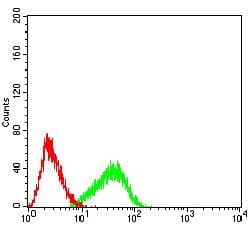 TNFRSF18 / GITR Antibody (clone 6H8B9)
