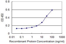 SGK3 Antibody (clone 2A7)