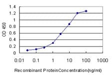 MGAT4A Antibody (clone 4H4)