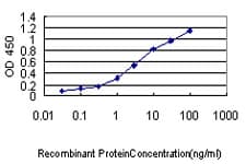 IHC-plus™ NUCB1 / Nucleobindin Antibody (clone 1H8-2C11)