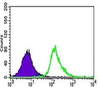 UTF1 Antibody (Amino Acid: 148-214, clone 5B6)
