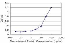 FNTB Antibody (clone 3A9)