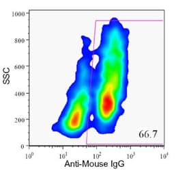 Monoclonal Mouse anti-Human Pancreas Marker HPi4 Antibody (clone HIC1-5F10, IHC, IF)