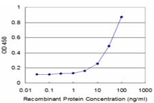 Monoclonal Mouse anti-Human HOXC5 Antibody (clone 1E10, WB)