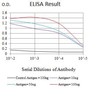 CHD4 Antibody (clone 3D3E9)